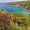 Treen Cove, Zennor