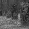 Rambo Cemetery
