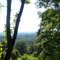 View from "Twinklestone"