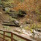WARR EAGLE CAVERN