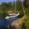 Cove at Indian Creek Campground - Beaver Lake