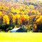 Seasonal colors