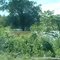 High Water 2004, Indian Mound under water