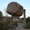 By the 7th Tee on the South Course at The Boulders Golf Resort - June 2008