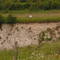 Bird in quarry