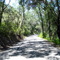 Peachy Canyon Road