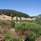 Donati Vineyards, Paso Robles