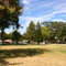 Paso Robles City Park ©Mica Chemello