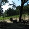 Dunning Vineyards