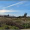 Hwy. 46 approaching the Paso Robles area. Many wineries in the area.