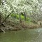 Graves Creek