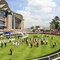 Ascot Parade Ring In Bloom