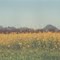 Buttes