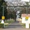 Live Oak Cemetery