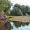 Cow Pond: Where the Lillies are... (First Prize - June 2008 Travel)
