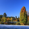 Wick Pond: Autumnal Colours Above Snowfall