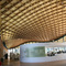Savill Building Roof Curvature