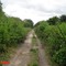 kachcha road to welton water