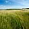 Wolds Way,