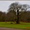 Scanthorpe -  Normanby   fot. J. W.
