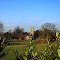 Winteringham