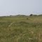 The dunes at Aberffraw