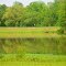 Hard Labor Creek State Park