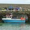 Fresgoe Harbour, Caithness