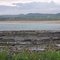 Sandside Bay, near Dounreay