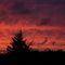 Sunrise at Reay