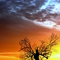 December sunset 1