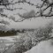  Winter snow In Yaxley