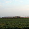 Noblesville Intermediate School and soybeans