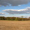 Fall tableau in Indiana