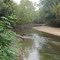 White River Clean-up