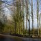 Tuxhill road