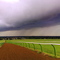 Over Newmarket from the gallops