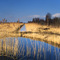 Wicken Fen