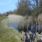 Wicken Fen