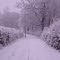 Winter Harlow