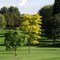 Summer breeze,Golf Club