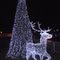 MERRY XMASS