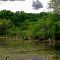 Crabtree Preserve