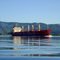 Bulk Carrier on the Columbia River near Skamakawa, WA