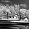Cathlamet Marina