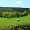 & Sheep may safely graze