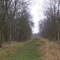 Brampton Wood