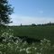 Looking towards site of Diddington Hall