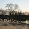 Evening in Hinchingbrooke