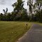 Mike Miller County Park Trail
